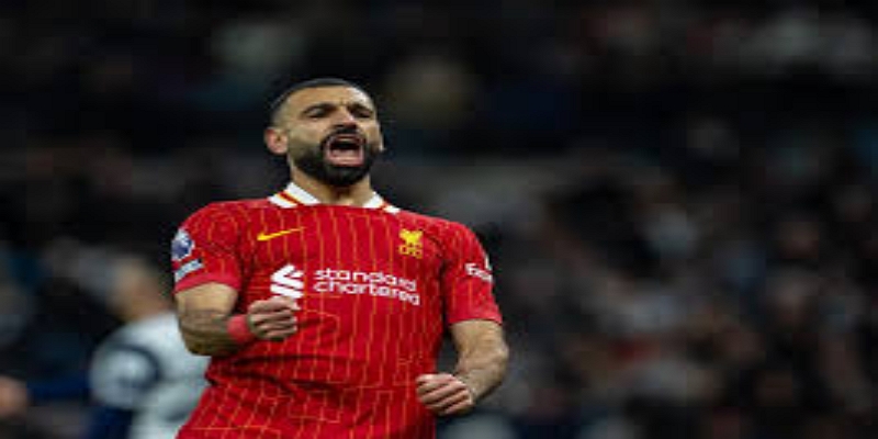 乐鱼体育深度解读：战术体系升级与整体结构优化-乐鱼体育