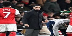 致敬冠军：体育精神的体现与乐鱼体育观察-乐鱼体育